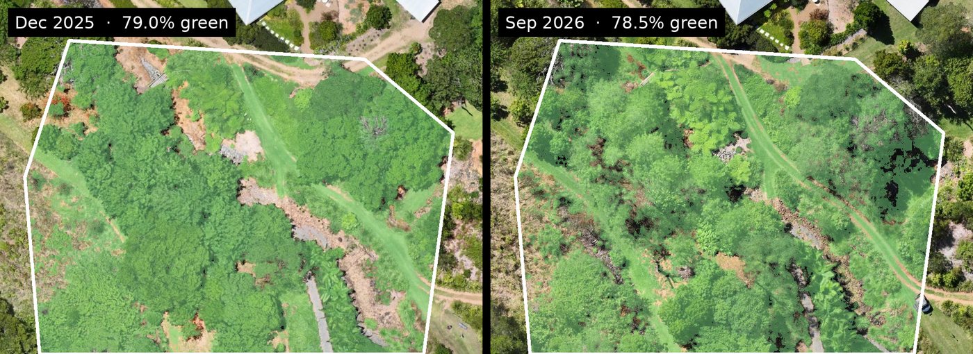 Two aerial maps of the same garden slope, December 2025 and September 2026, with the area counted as green vegetation tinted on each
